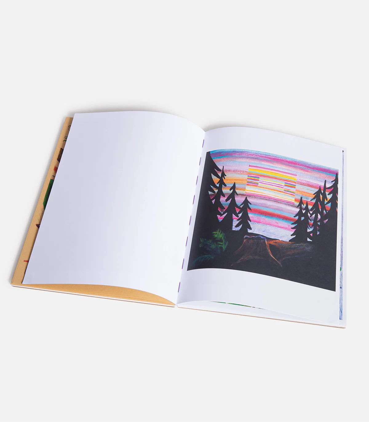 Joe Roberts We Ate The Acid Book - Image 4