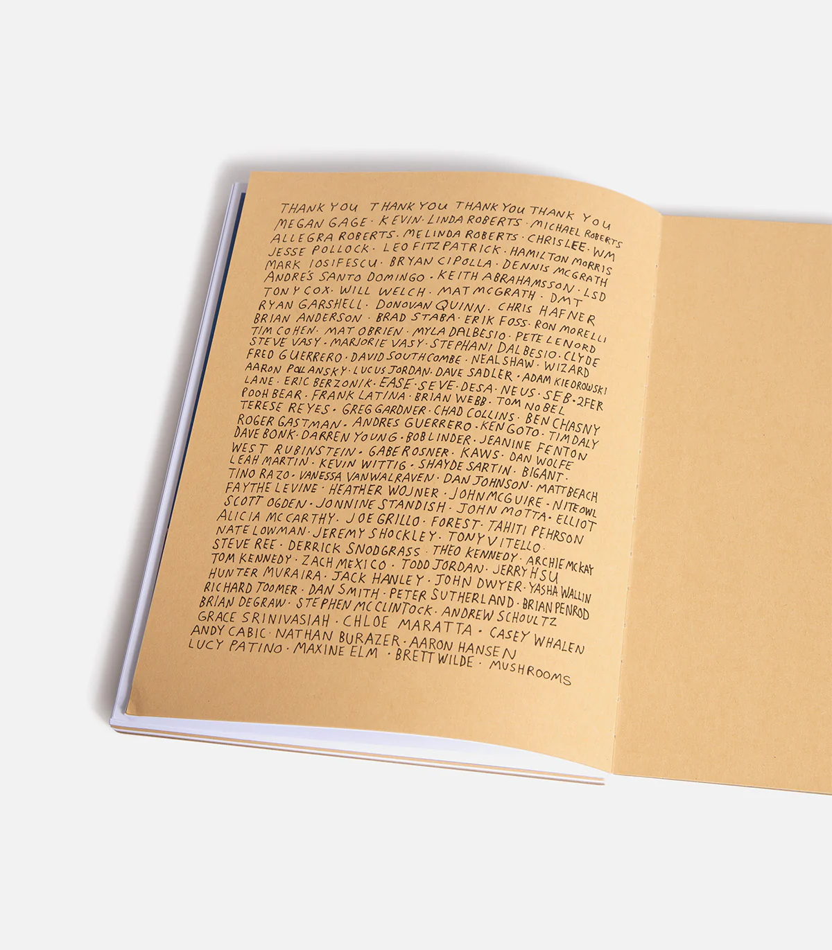 Joe Roberts We Ate The Acid Book - Image 5