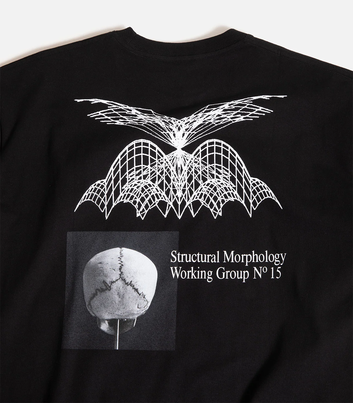 Polar Morphology T-Shirt - Image 3