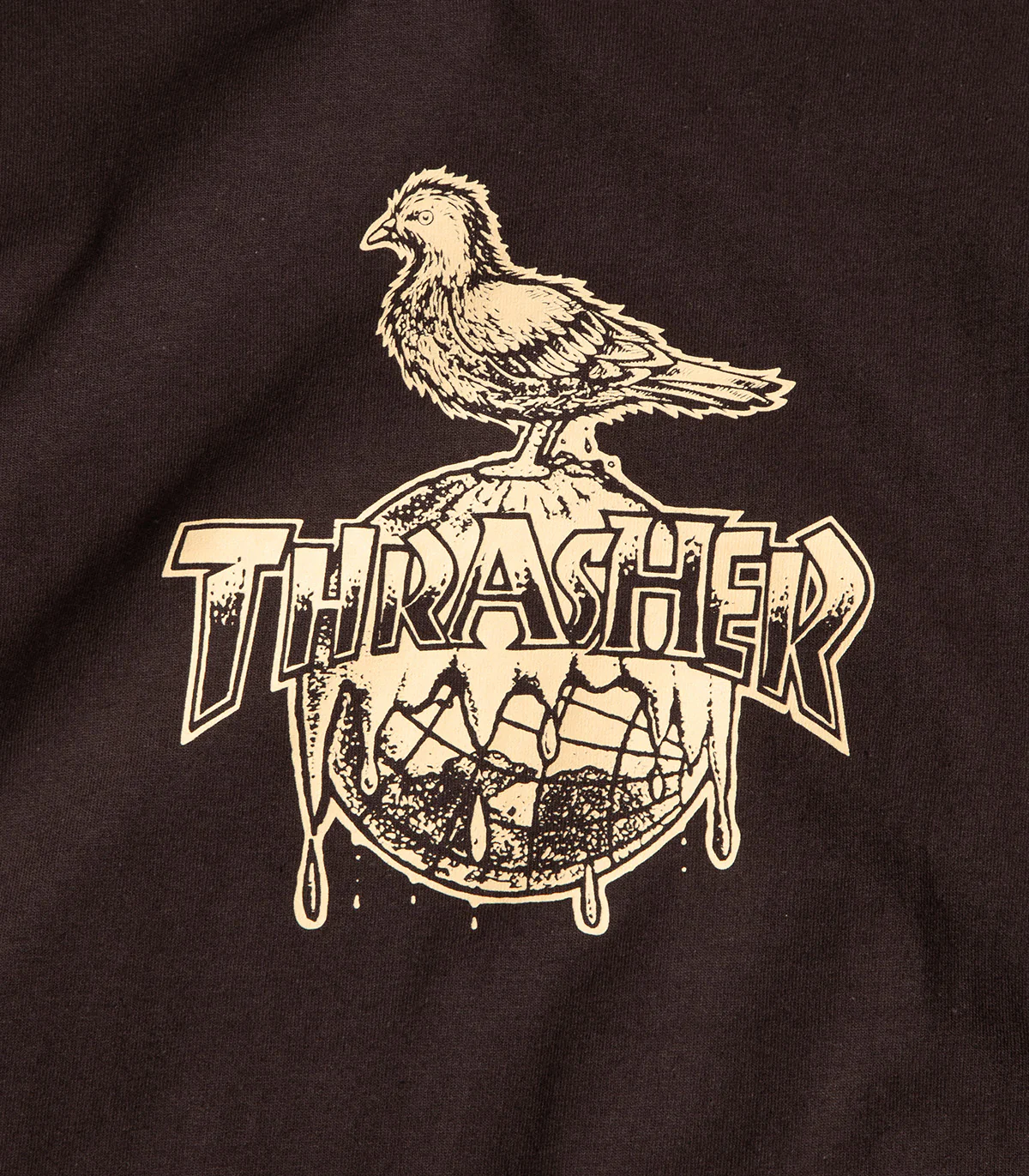 Thrasher X Antihero Cover The Earth T-Shirt - Image 2