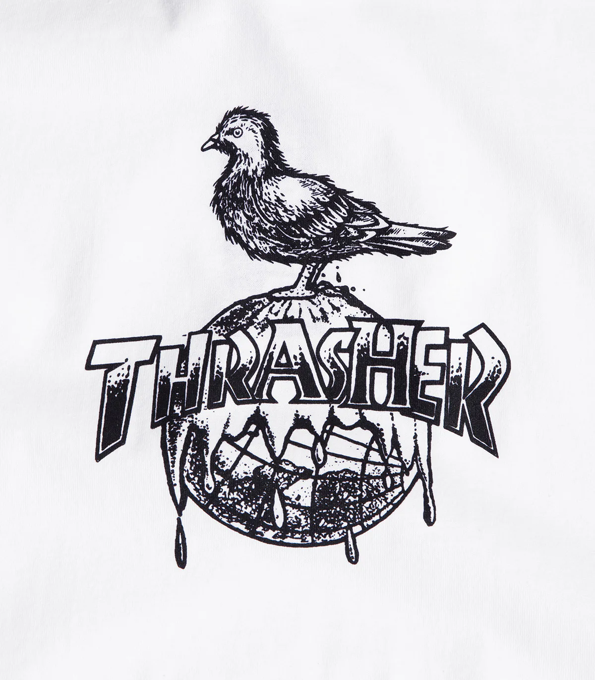 Thrasher X Antihero Cover The Earth T-Shirt - Image 2