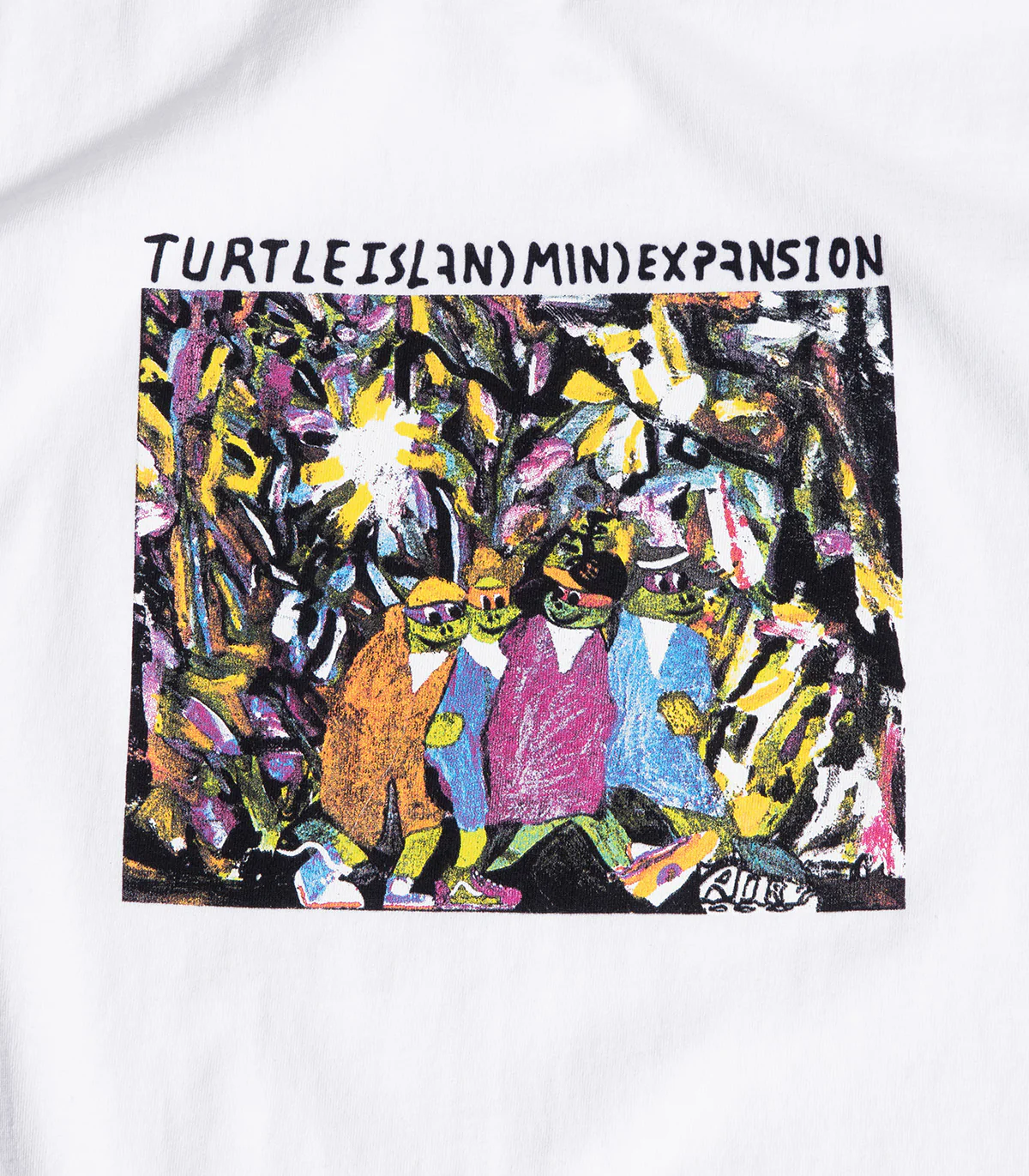 Turtle Island Mind Expansion Homies T-Shirt - Image 2
